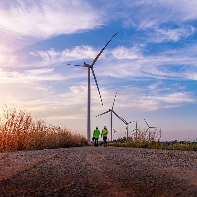 Wind farm to illustrate renewables