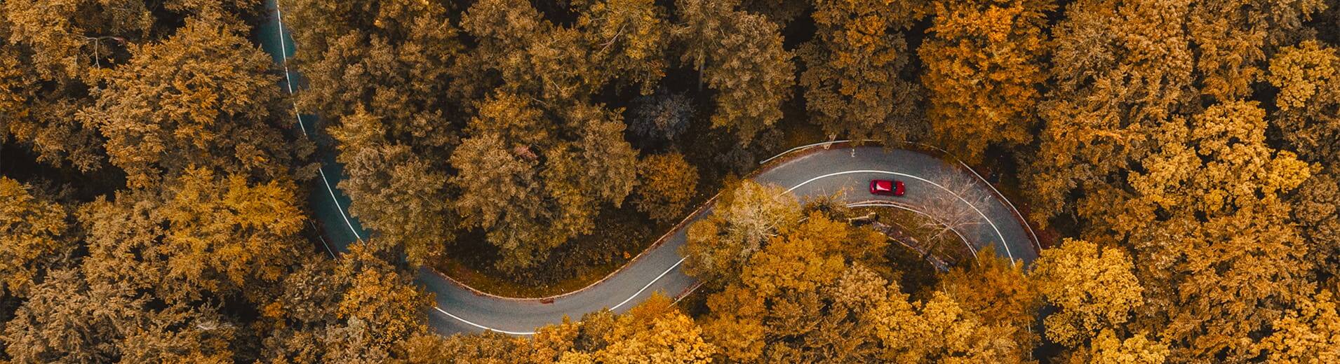 Aerial_View_Of_Forest_Road_P_1176