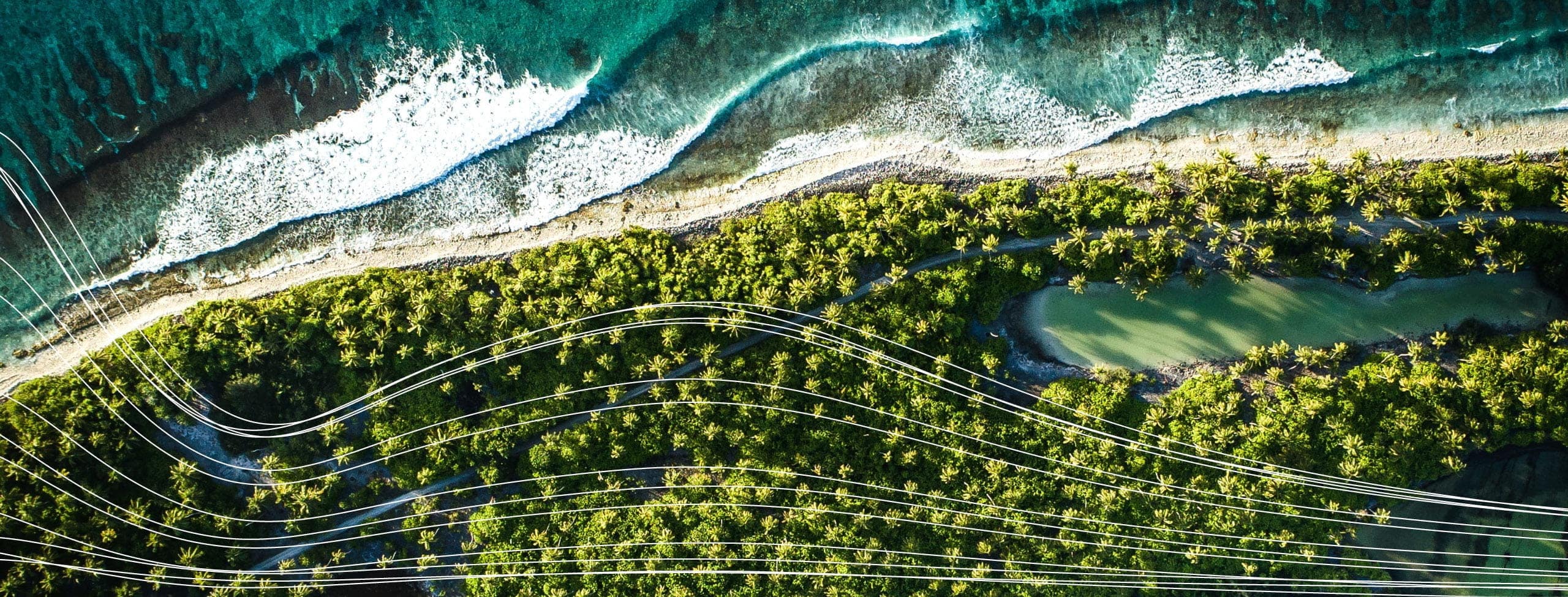 Ocean and trees from above